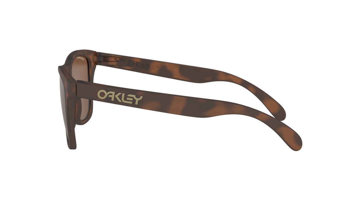 Oakley OO9013-C5 Frogskins