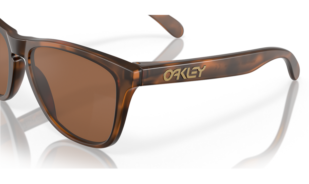 Oakley OO9013-C5 Frogskins